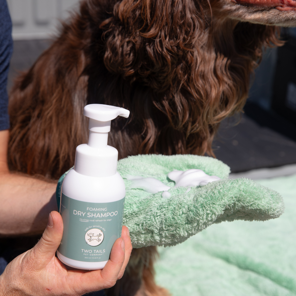 Foaming Fry Shampoo - Shelf Pack (6)