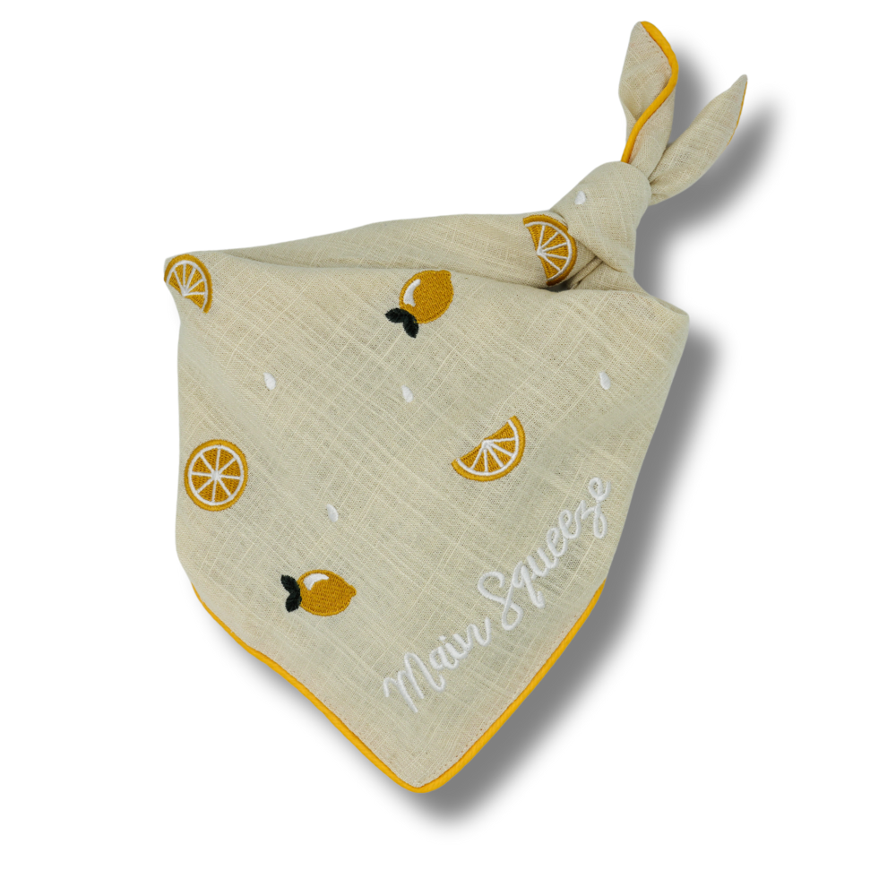 Main Squeeze - Bandana - Large - Shelf Pack (2)