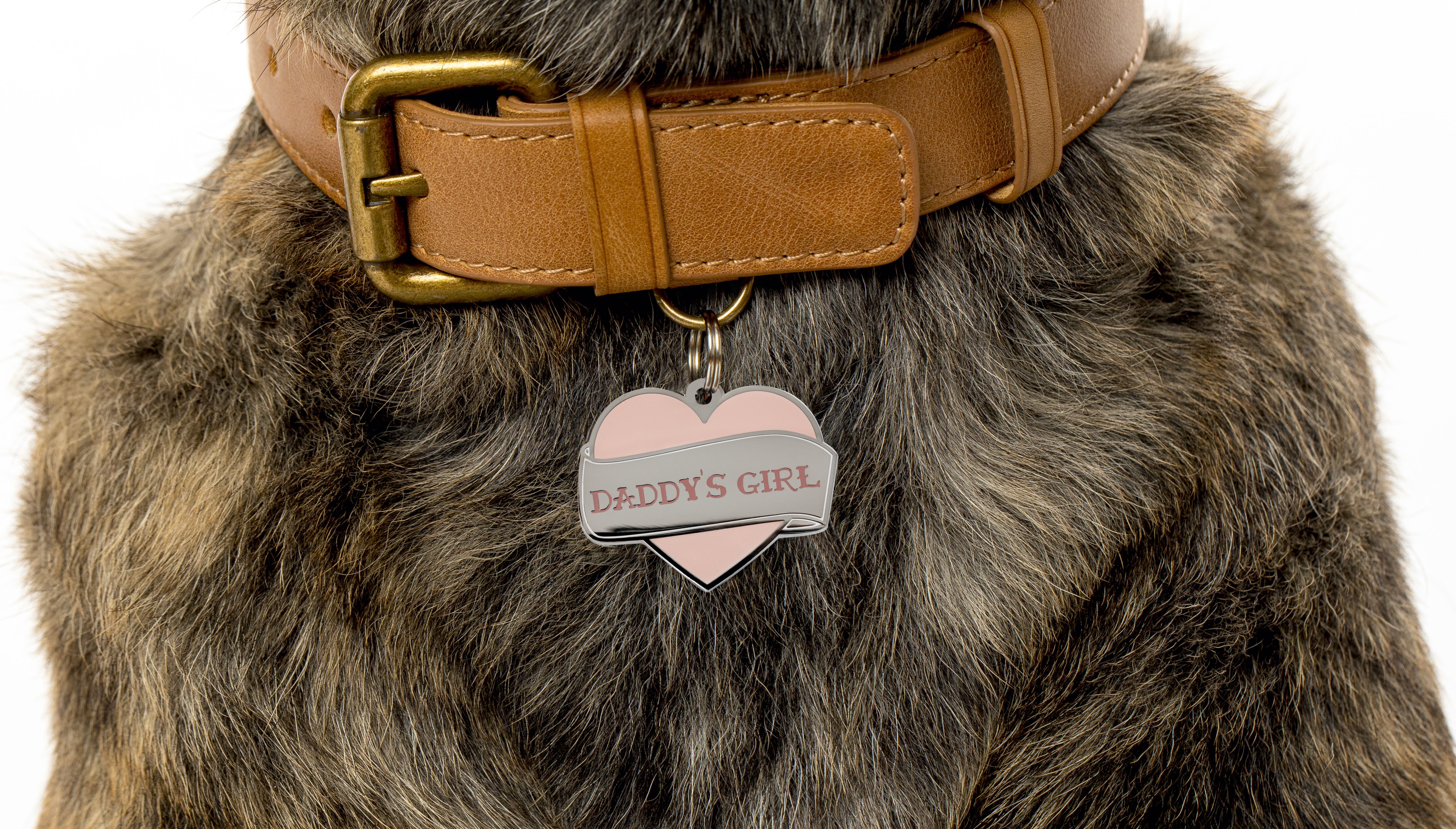 Daddy's Girl Pet ID Tag