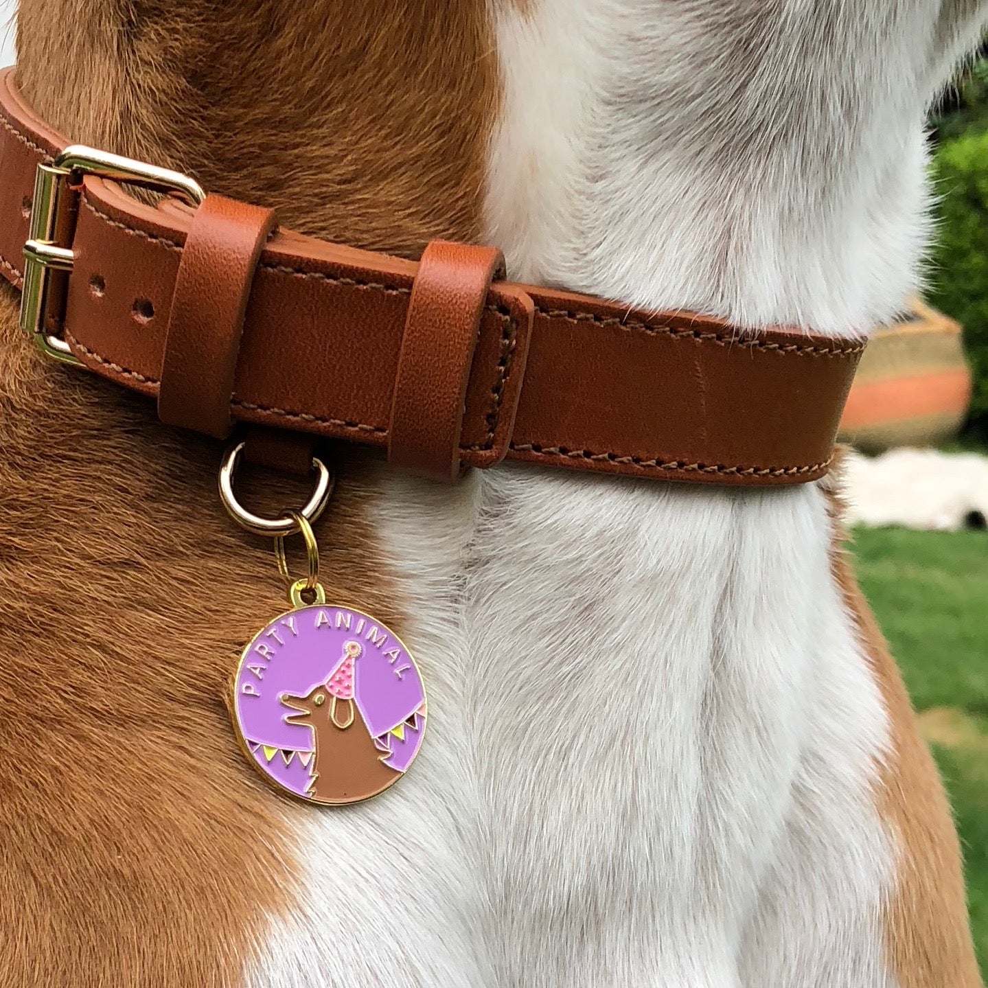 Party Animal - Original Pet ID Tag