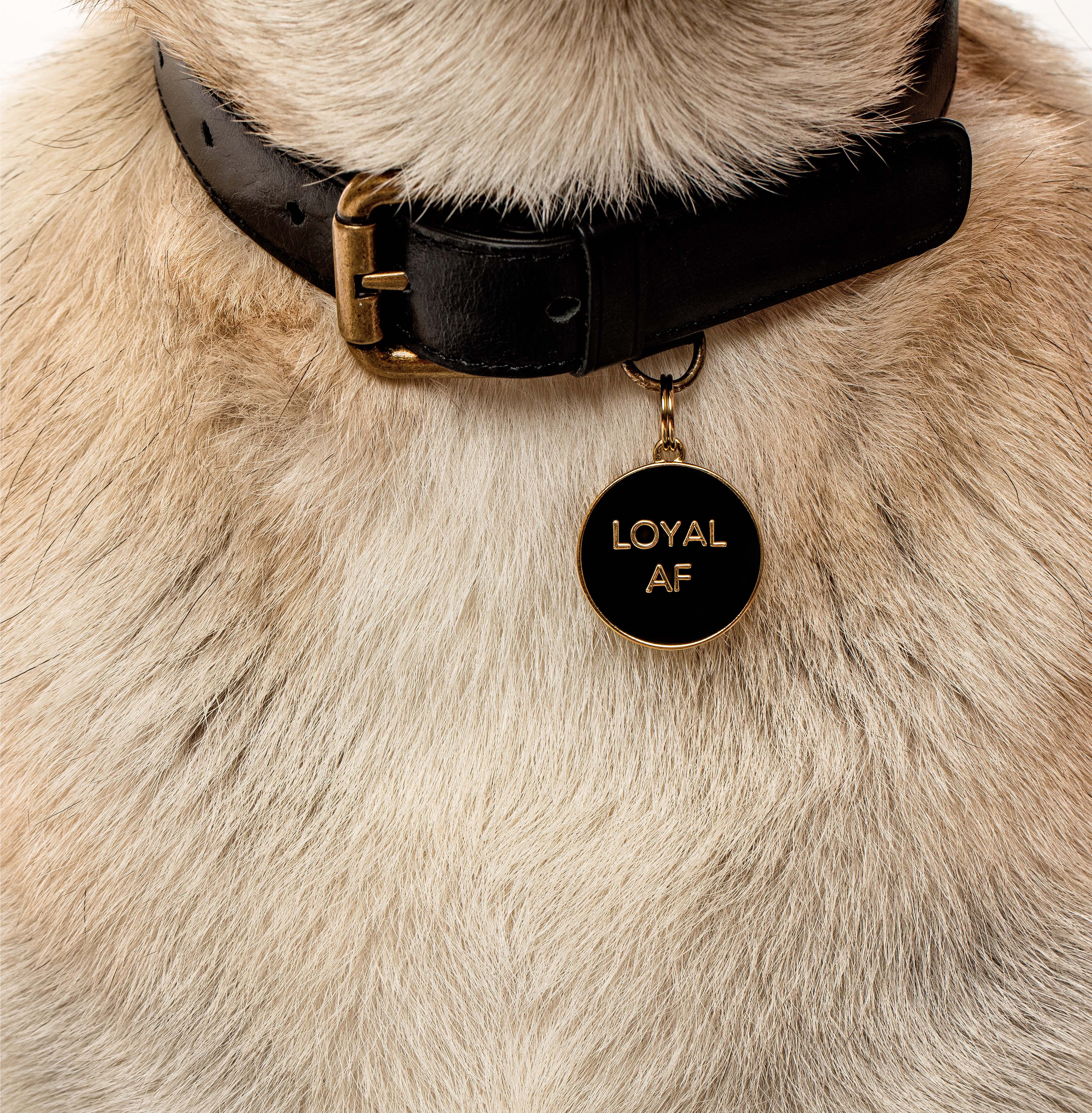 Loyal AF - Black - Pet ID Tag