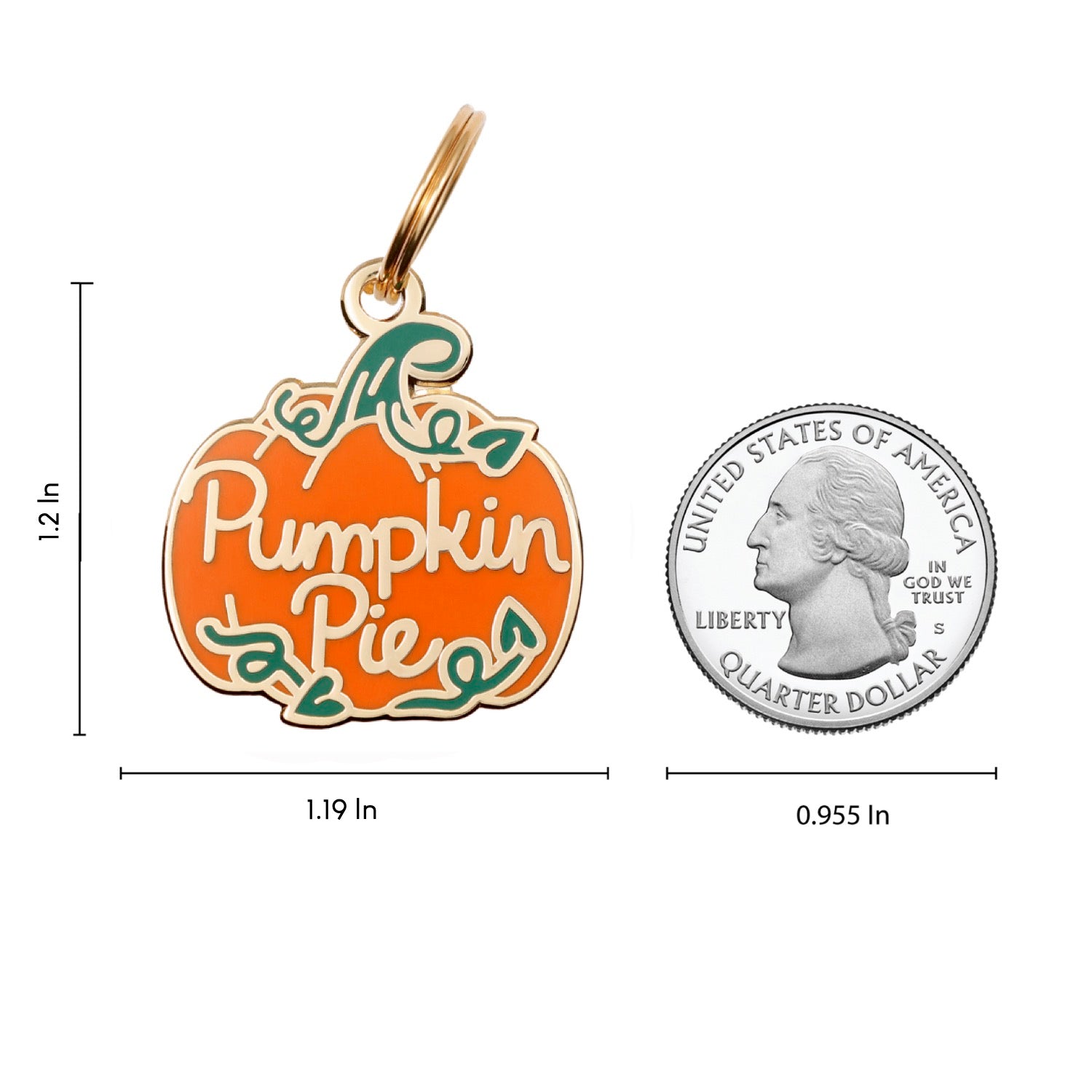 Pumpkin Pie Pet ID Tag